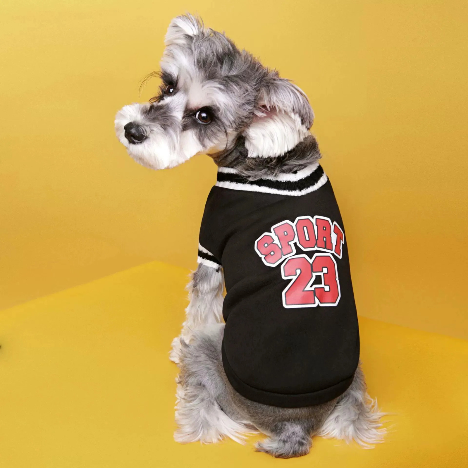 College Style Pet Dog Sweater Winter Warm Clothes for Small Medium Dogs Puppy Cat Vest Chihuahua French Bulldog Yorkie Coat 250814