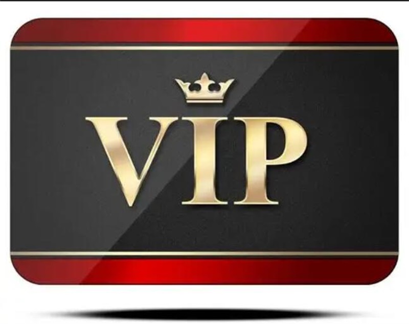 VIP customer special payment link 005