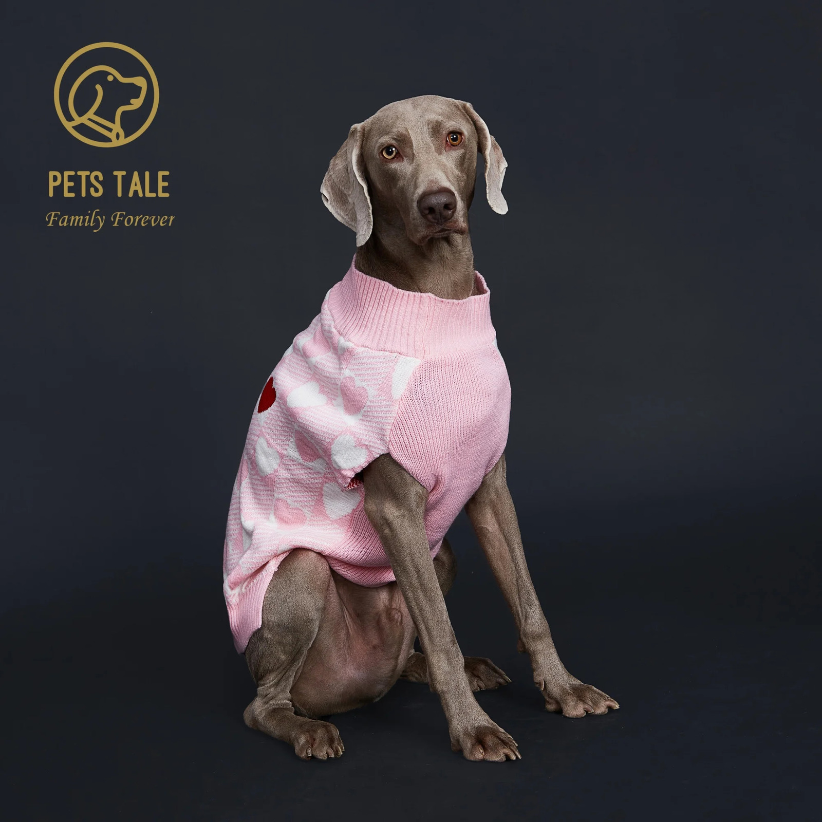 Buffalo Check LoveHeart Intarsia DRing Hole Dog Sweater 250814