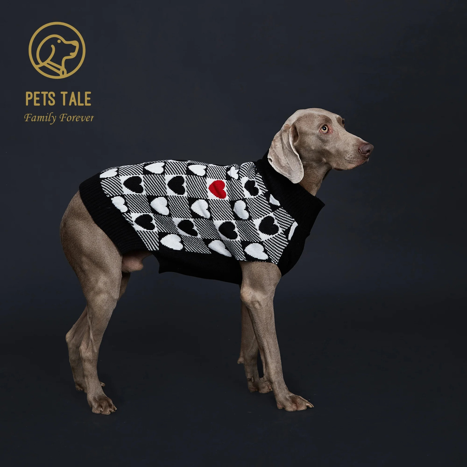 Buffalo Check LoveHeart Intarsia DRing Hole Dog Sweater 250814