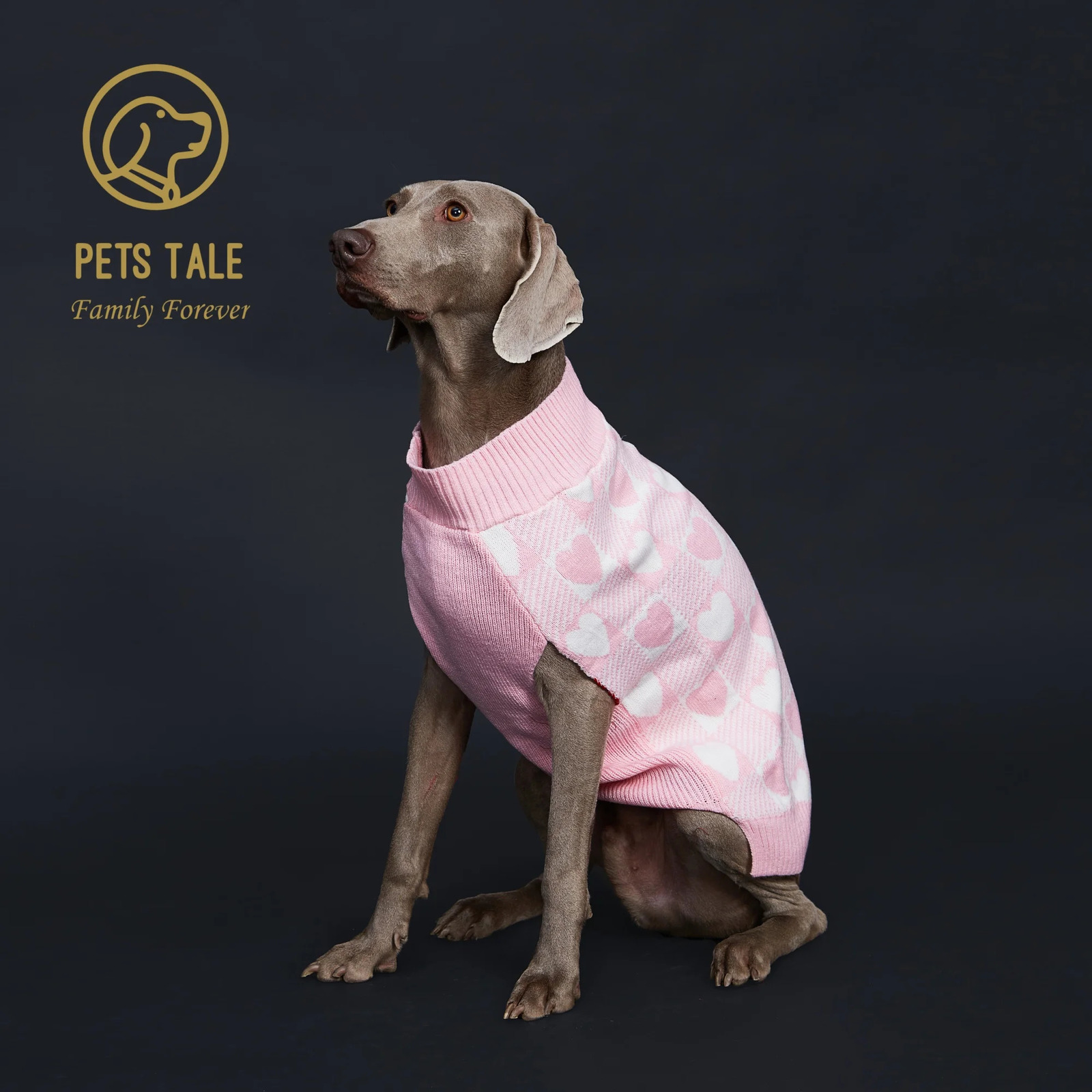 Buffalo Check LoveHeart Intarsia DRing Hole Dog Sweater 250814