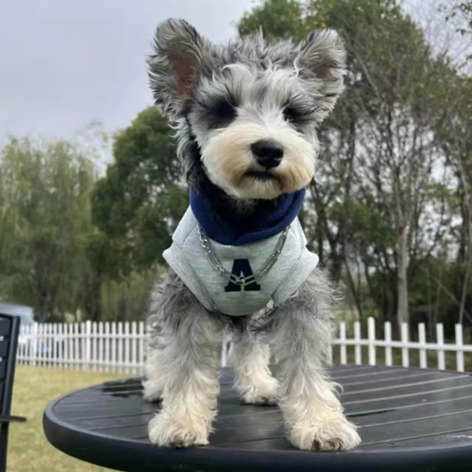 Fashion Dog Hoodie Winter Warm Cat Clothes Soft Sweatshirt Small Medium Dogs Coat Cold Weather Pet Clothing Chihuahua Pug 250814