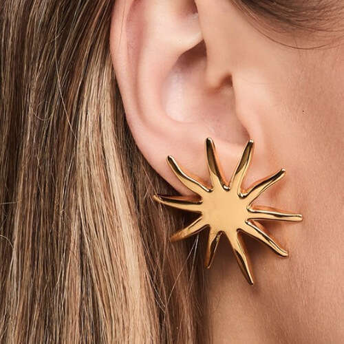 for Women Jewelry Stainless Steel Sun Light High-end Earrs Non-fad Ear Designer