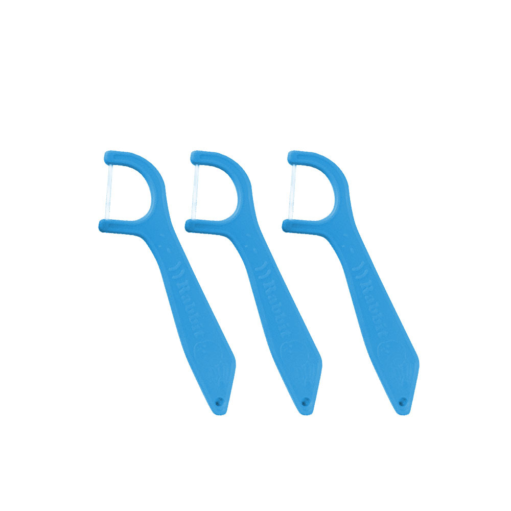 12 Chinese Zodiac Children's Dental Floss Sticks, 48-Piece Canister, Colorful Dental Floss Sticks, Plastic Dental Floss