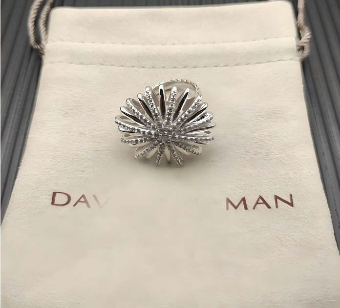 2025 New 925 Sterling Silver Christmas New Jewelry Retro Couple Trend Fashion Simple Spiral Design Crystal Ring for Men and Women To Wear