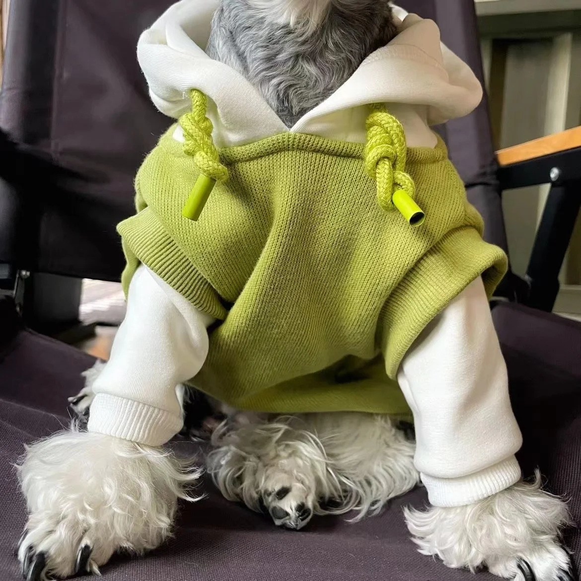 Dog Clothes Winter Hooded Sweatshirt Warm French Bulldog Puppy Coat for Small Medium Dogs Pet Costume Chihuahua Pug 250814