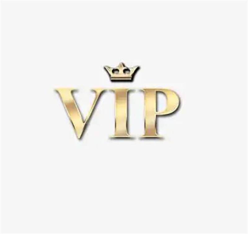 VIP customer special payment link 003
