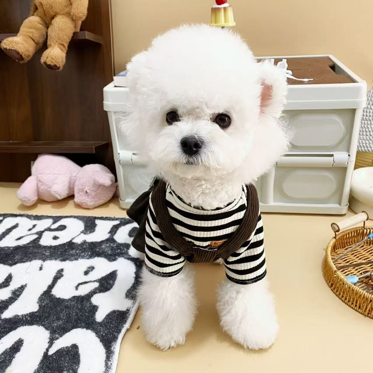 T948 Sweet and cool style cute blue dog bone necklace Millennial hot girl collar niche design choker overalls