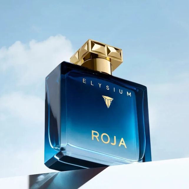 Roja Perfume Elysium Intense Long Lasting Smell Spray Cologne Spray 3.4oz Men Women Neutral Perfume Long Lasting