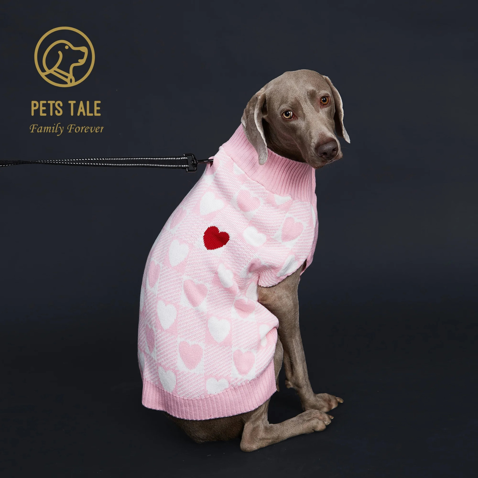 Buffalo Check LoveHeart Intarsia DRing Hole Dog Sweater 250814