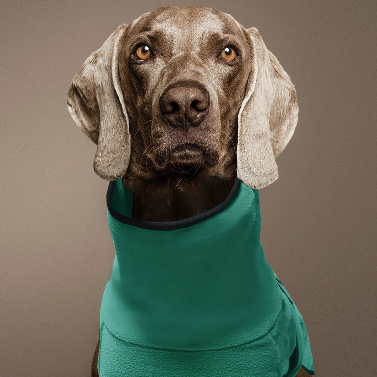 Clothes For Large Dogs Winter Warm Big Dog Vest Jacket Pet Coat Greyhound Doberman Medium 250814