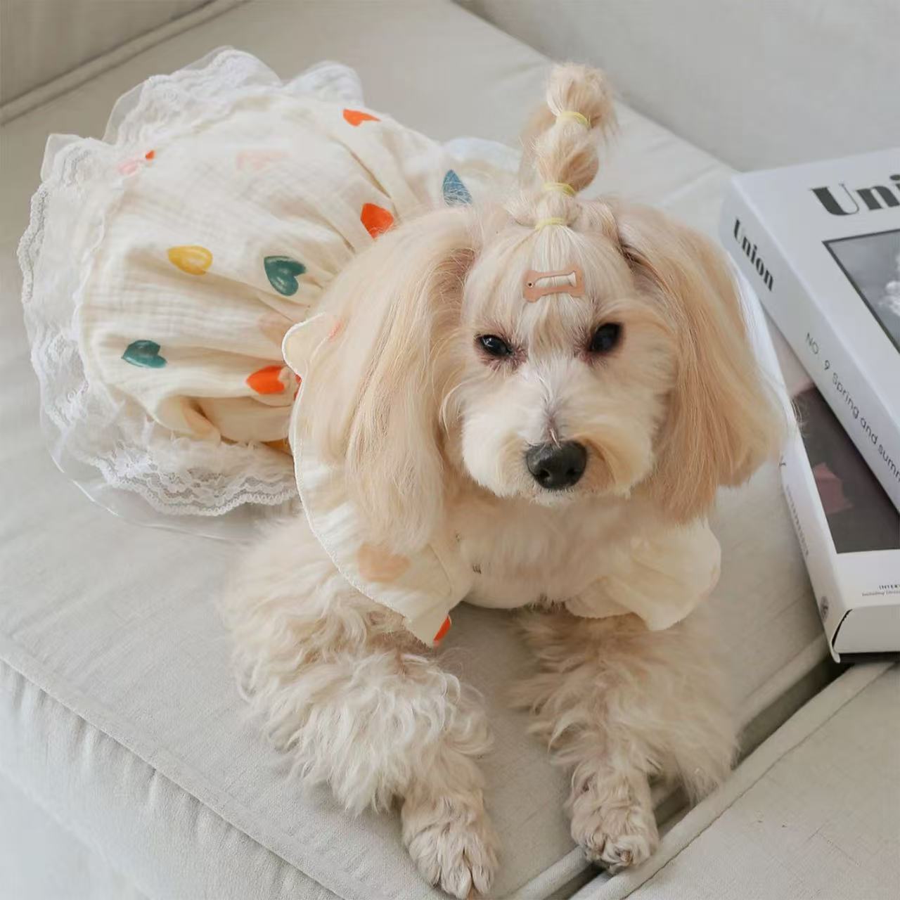 T954 Dog and cat princess dress 2025 new pet clothes small dog summer and autumn thin skirt baby cotton skirt