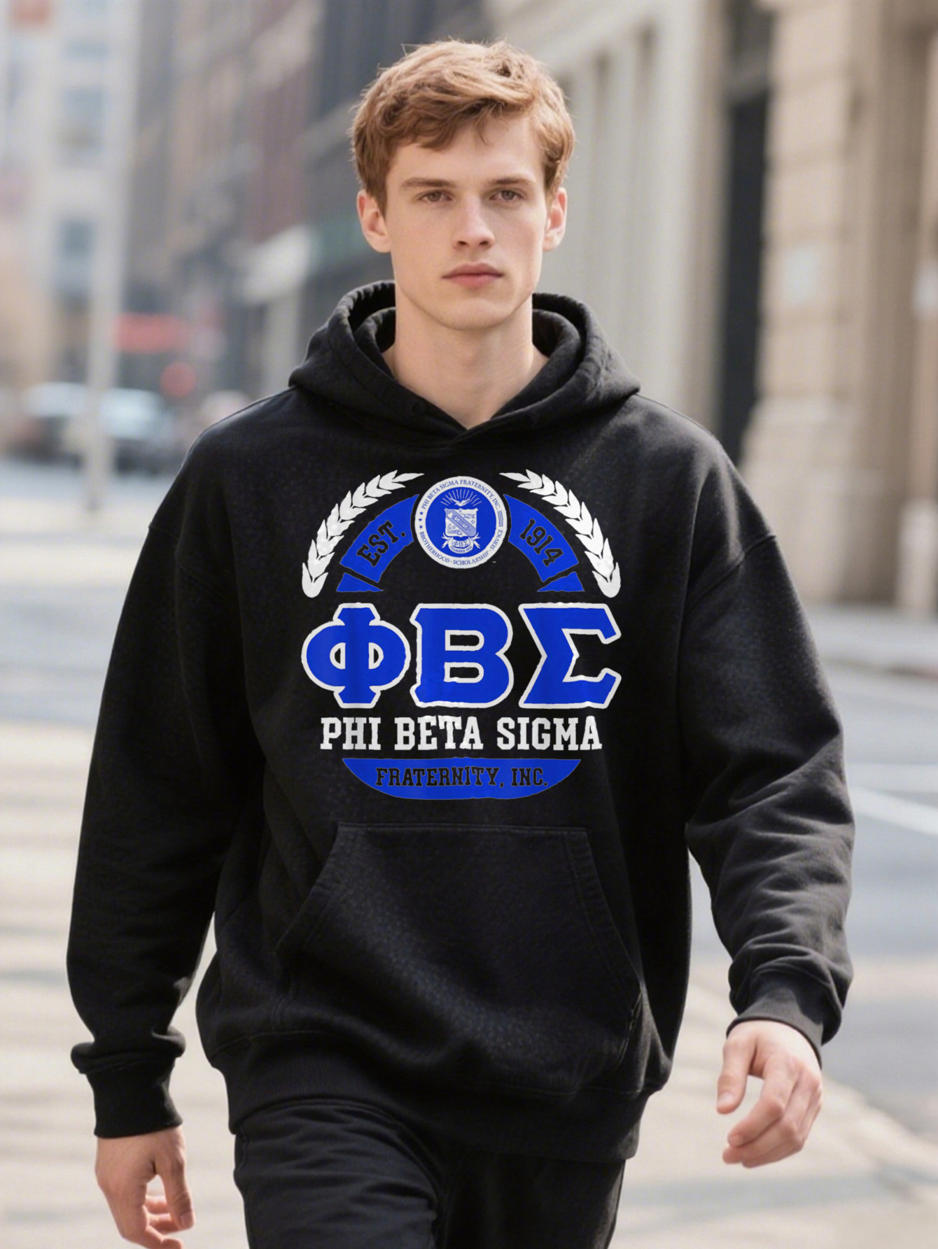 Paraphernalia Phi Beta Sigma Fraternity Selected Pure Cotton Interesting Design DIY Hoodie Short Sleeve T For