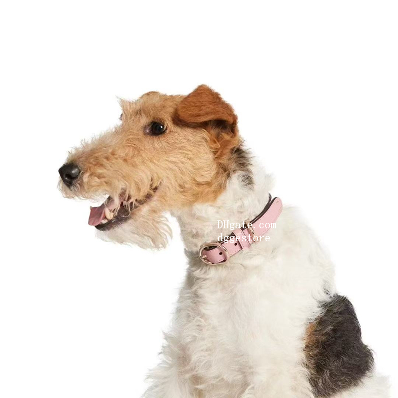 Fashionable Pink Pet Accessory: Strong Dog Collar Featuring Elegant Patterns Perfectly Sized for Your Companion