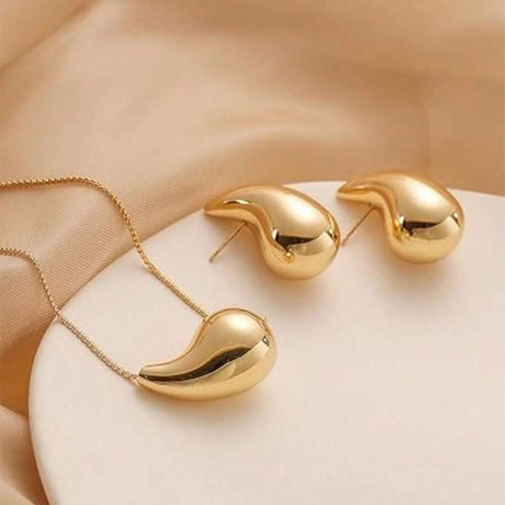 Trendy Fashion Water Drop Design and Earring Set for Women Versatile Niche Long Necklace Geometric Stud Earrings