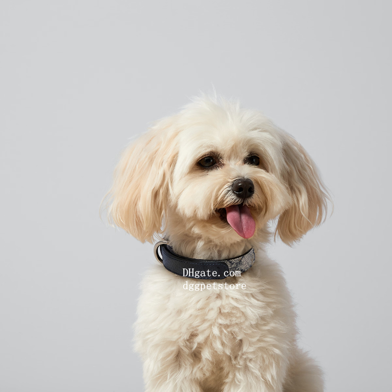 Designer Collar Classic Letter Pattern Soft Adjustable Leather Pets Collars for Small Dogs Cats Luxury Birthday Gift Fashion Dog Accessories Pink S B2