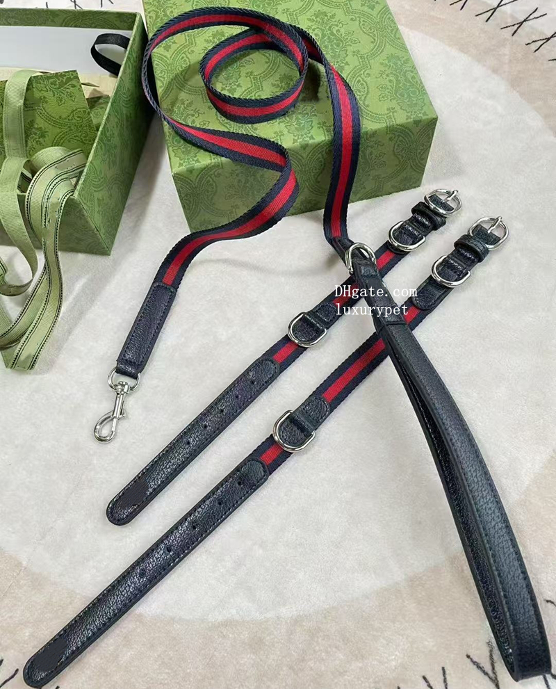 Designer Dog Collar for Small Dogs, Soft Padded Dog Leather Collar with Gold Buckle, Adjustable Genuine Leather Puppy Collars Leash Luxury Dog Birthday Gift M B312