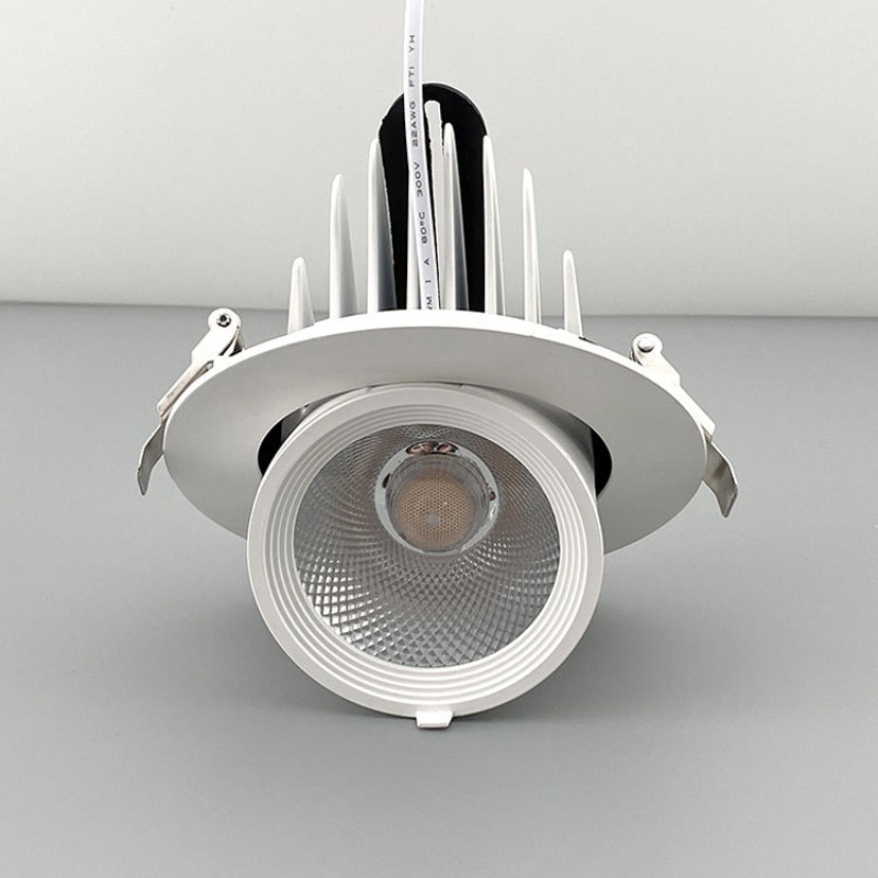 Adjustable Recessed Gooseneck Spotlights for Suspended Ceilings - Perfect for Clothing Store Feature Walls & Backgrounds 17/2