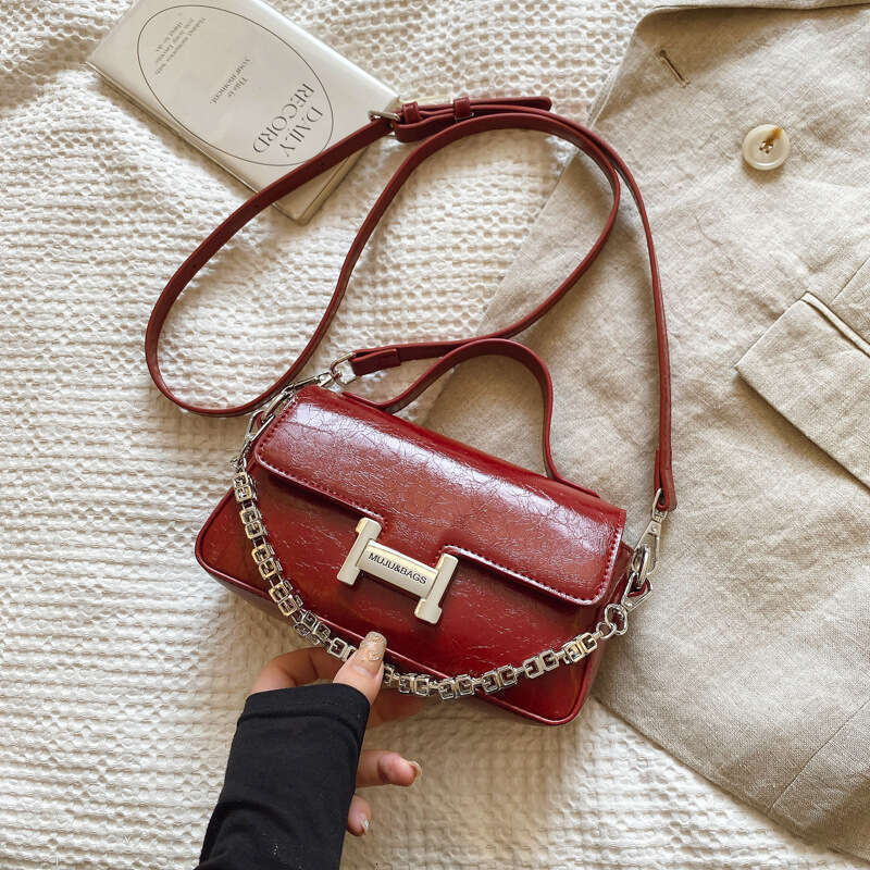 Super Popular for Women 2025 Stylish Small Designer Bags Square Korean Version Fashion Pomeranian High-end Snake Bone Chain Bag