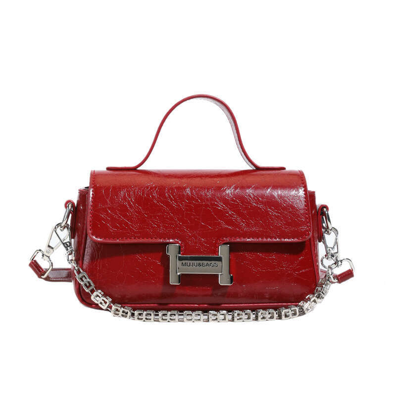 Super Popular for Women 2025 Stylish Small Designer Bags Square Korean Version Fashion Pomeranian High-end Snake Bone Chain Bag