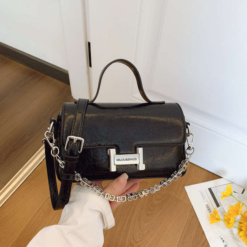 Super Popular for Women 2025 Stylish Small Designer Bags Square Korean Version Fashion Pomeranian High-end Snake Bone Chain Bag