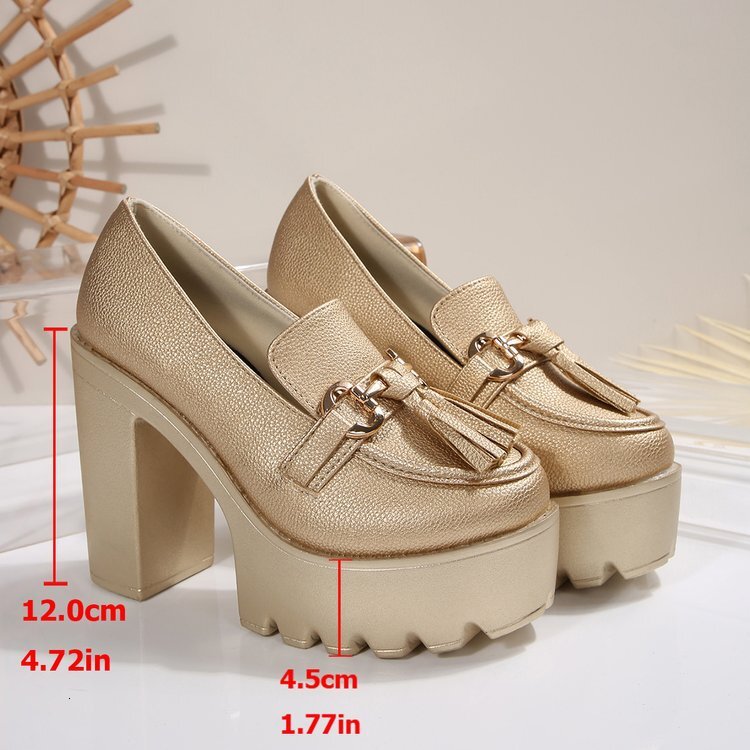 2025 Summer Leather Comfortable Spring Autumn Waterproof Platform Chunky Heel New High Heels Women's Single Shoes Large Size ddmymoon