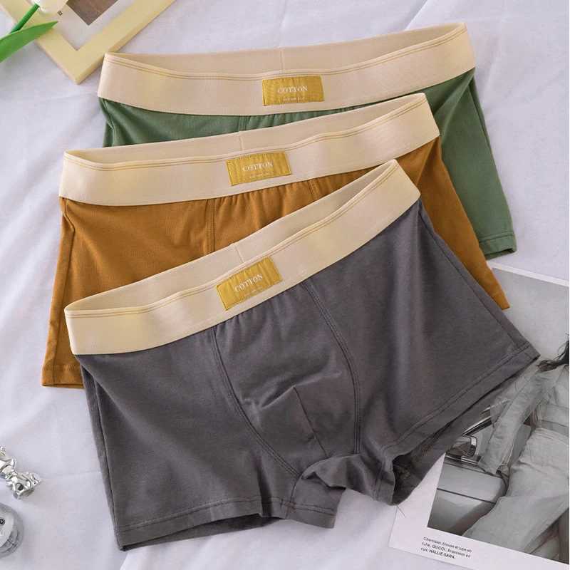 C.New S Men Underwear Pure Boxer Shorts Men Cotton Underpants Breathable Underpants Sexy Sports Comfort Men Boxers W250819