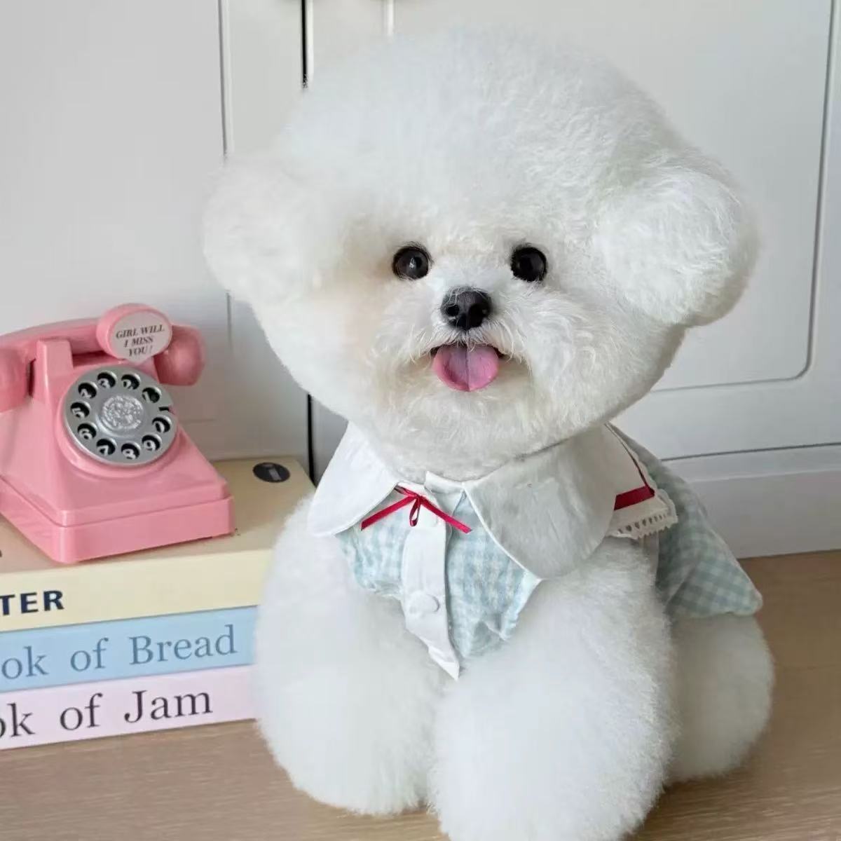 T979 New Korean Spring and Autumn Dog Star Pajamas Set Pet Pomeranian Home Clothes Hat Set