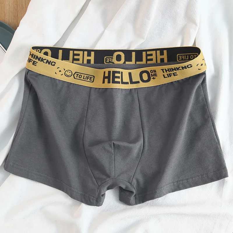 2Pcs Mens Underwear Boxer Brief Plus Size Cotton Panties Breathable Soft 40-30KG W250819