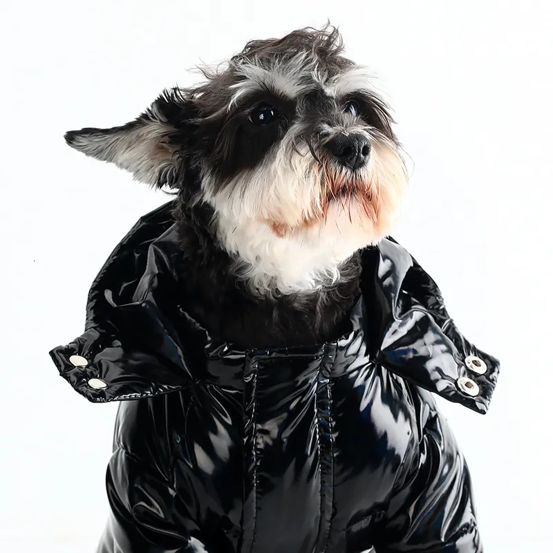 Designer Clothes Brand Dog Apparel Veet Filled Pets Hooded Puppy Jacket for Small Dogs Windproof Waterproof Snow-Proof Outdoor Sports Warm Pet Coat Re
