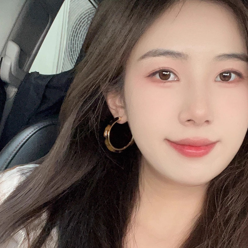 Elegant Leopard Print Hoop Earrings - Exaggerated High-End Accessory