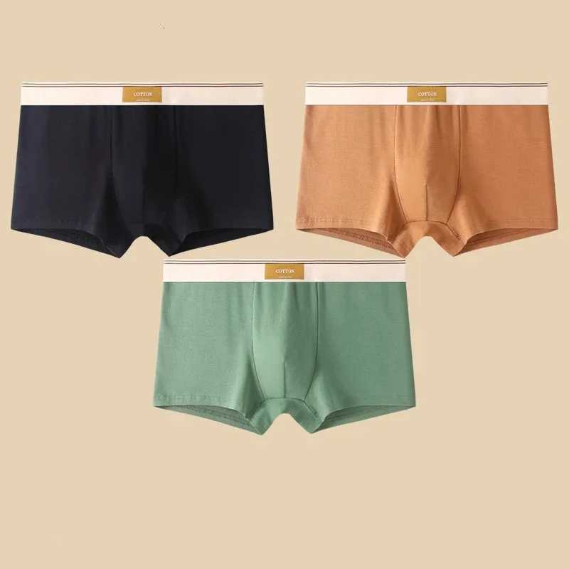 3Pcs Mens Underwear Hombre Boxer Shorts Comfortable Breathable Cotton Underwear Sexy Underwear Solid Color Boxer Shorts W250819