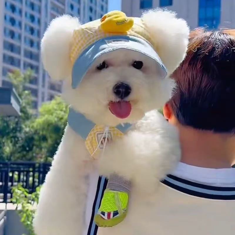 T982 Pet clothes autumn and winter new year Teddy Bichon Maltese Yorkshire terrier cat dog vest plush thick