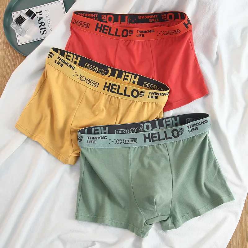 2Pcs Mens Underwear Boxer Brief Plus Size Cotton Panties Breathable Soft 40-30KG W250819