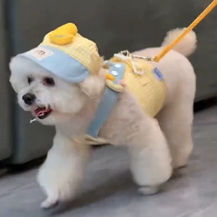 T982 Pet clothes autumn and winter new year Teddy Bichon Maltese Yorkshire terrier cat dog vest plush thick