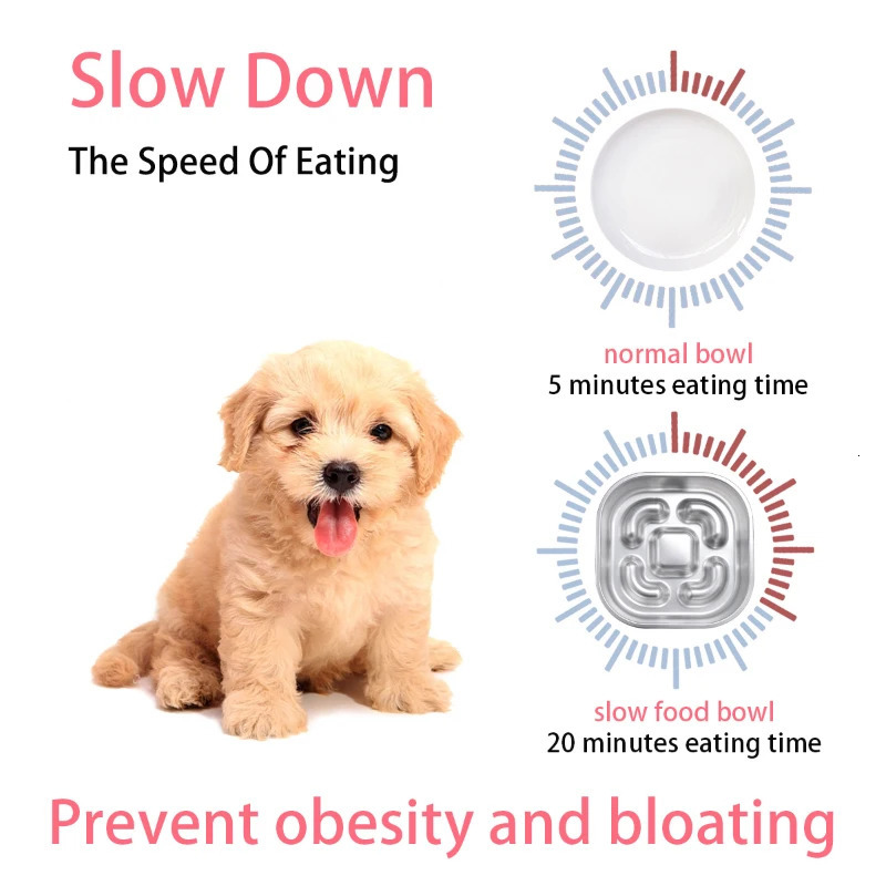 Dog Slow Feeder Bowls 304 Stainless Steel Dog Slow Feeder Bowl Available on Both Sides Slow Feeding Feeder Pets Cats Dog Bowls 250813