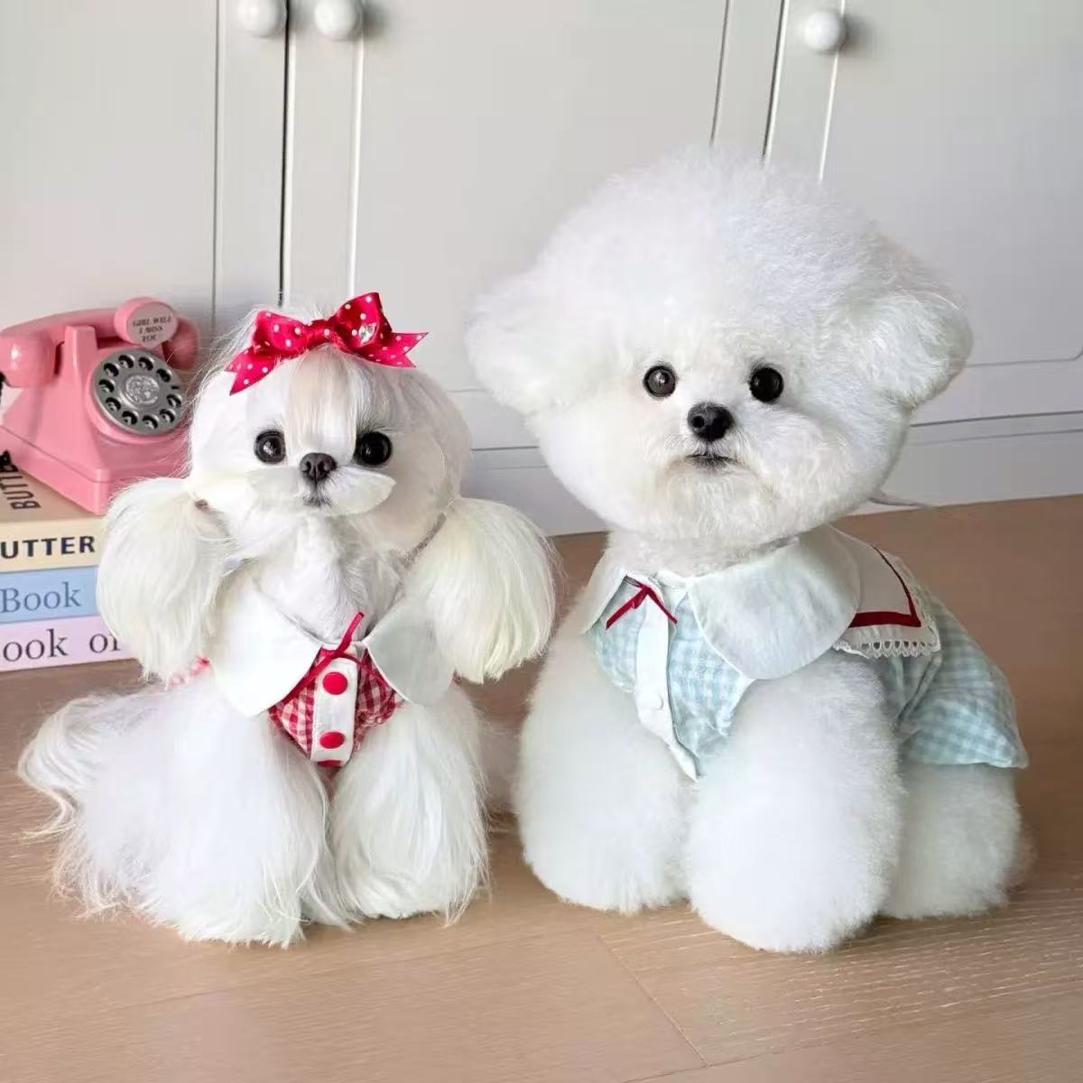 T979 New Korean Spring and Autumn Dog Star Pajamas Set Pet Pomeranian Home Clothes Hat Set