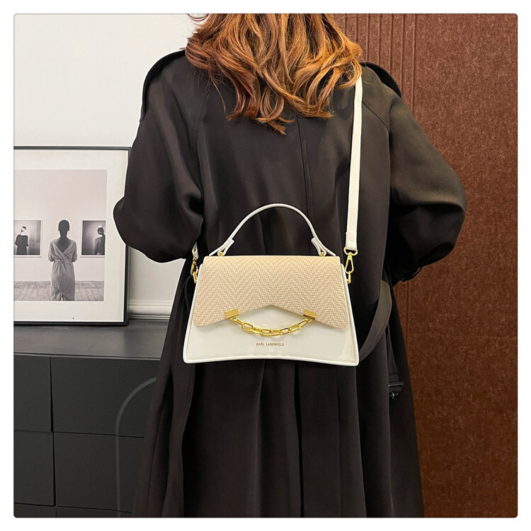 Designer Bag Box Bag For Women 2025 Spring New Trendy Fashionable Handheld Small Square Bag Luxury Bag Chain Handheld Shoulder Crossbody Bag