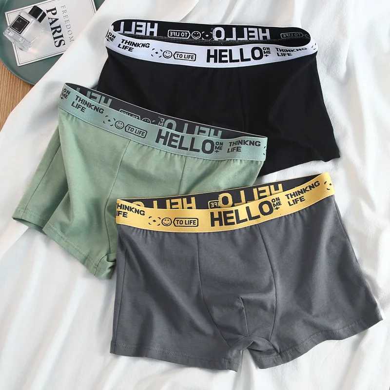 2Pcs Mens Underwear Boxer Brief Plus Size Cotton Panties Breathable Soft 40-30KG W250819