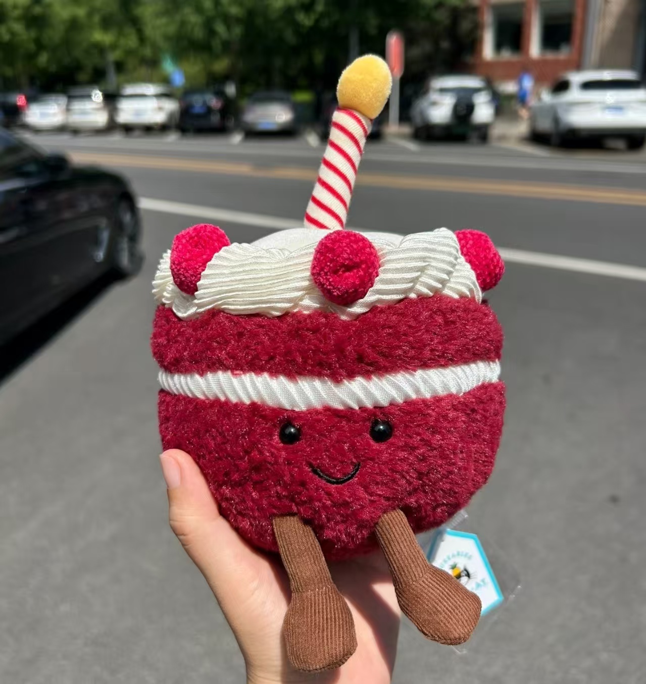 With box Dolls Jelly cat Plush Children toys Rainbow Birthday Stuffed Toy Amuseables 3 Cheri Cake body pillow Soothing the Doll Gifts