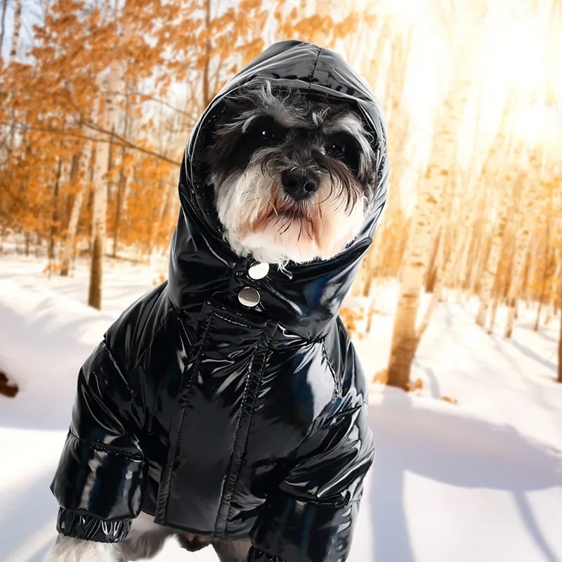 Designer Clothes Brand Dog Apparel Veet Filled Pets Hooded Puppy Jacket for Small Dogs Windproof Waterproof Snow-Proof Outdoor Sports Warm Pet Coat Re