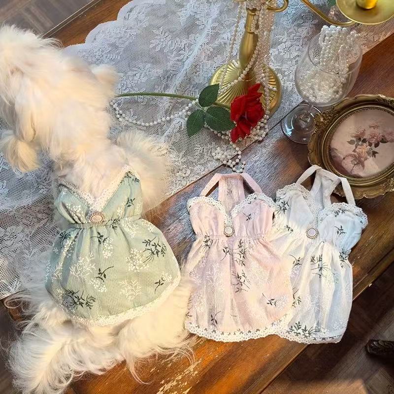 T978 Pet Dog Jacket Teddy Bichon Internet Celebrity Autumn and Winter New Schnauzer Small Dog Windproof Clothes Jacket