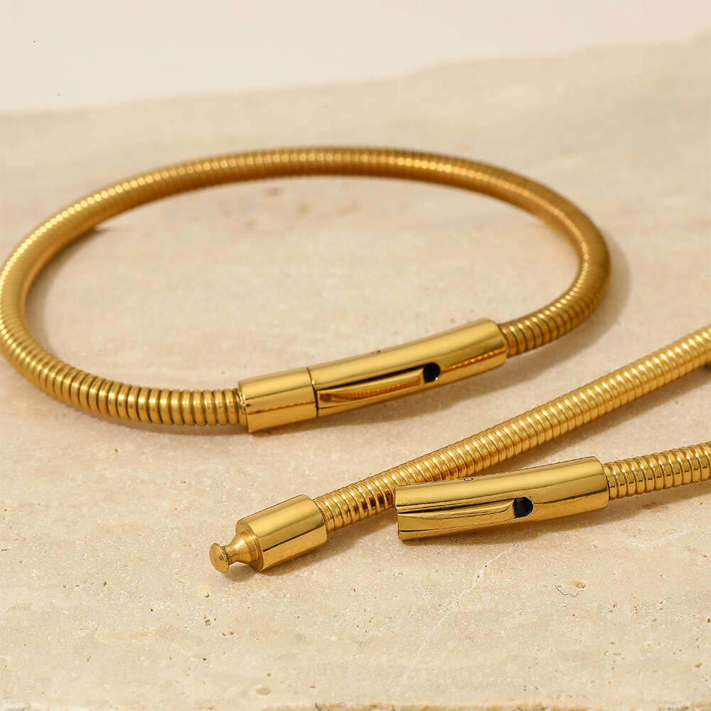 Stainless Snake Bone Chain Steel Wire Rope Bracelet Designer Set Ins Simple Electric Coil Necklace Jewelry