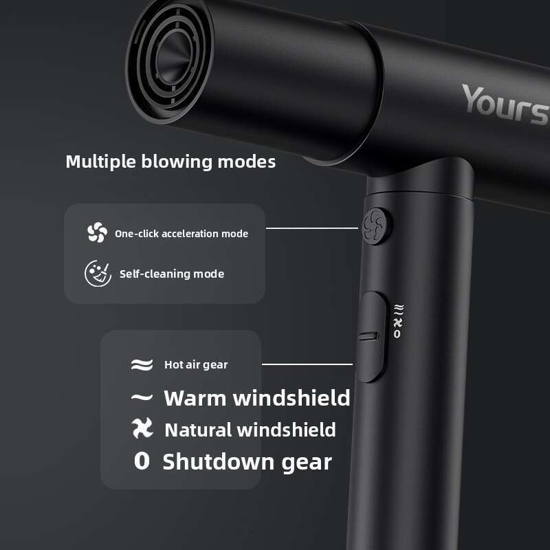 High-Speed 110K RPM Household Electric Dryer Negative Ion Hair Salon Style New Model