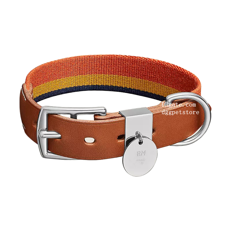 Designer Dog Collar and Leash Classic Canvas Leather Dog Collar for Small Medium Dogs Cats Soft Adjustable 1.2 Meter Long High End Dog Leash Luxury Dog Birthday Gift 314