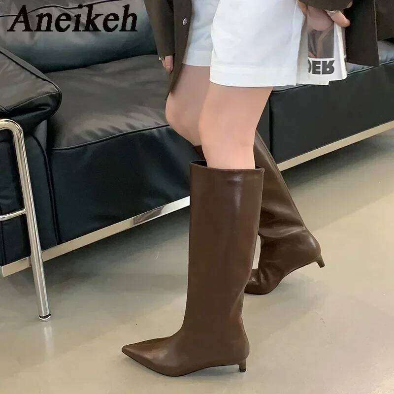 Aneikeh New Brown Kitten Heels Women Modern Female Shoes 2026 Fashion Pointed Toe Ladies Long Knee Western Boots