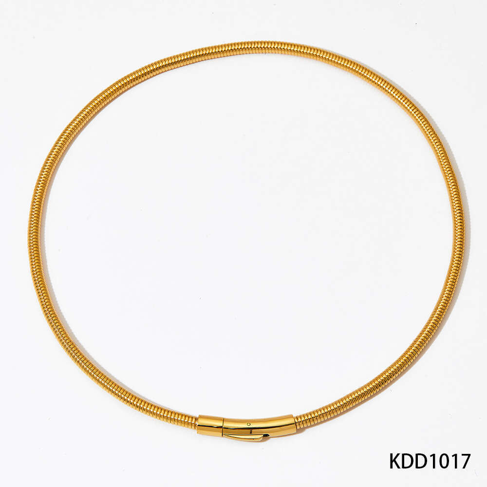 Stainless Snake Bone Chain Steel Wire Rope Bracelet Designer Set Ins Simple Electric Coil Necklace Jewelry