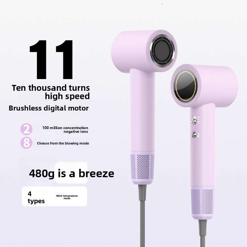 New High-Speed Negative Ion High-Power Essential Oil Protection Hair Dryer