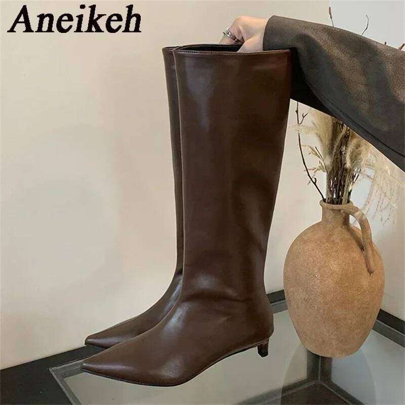 Aneikeh New Brown Kitten Heels Women Modern Female Shoes 2026 Fashion Pointed Toe Ladies Long Knee Western Boots
