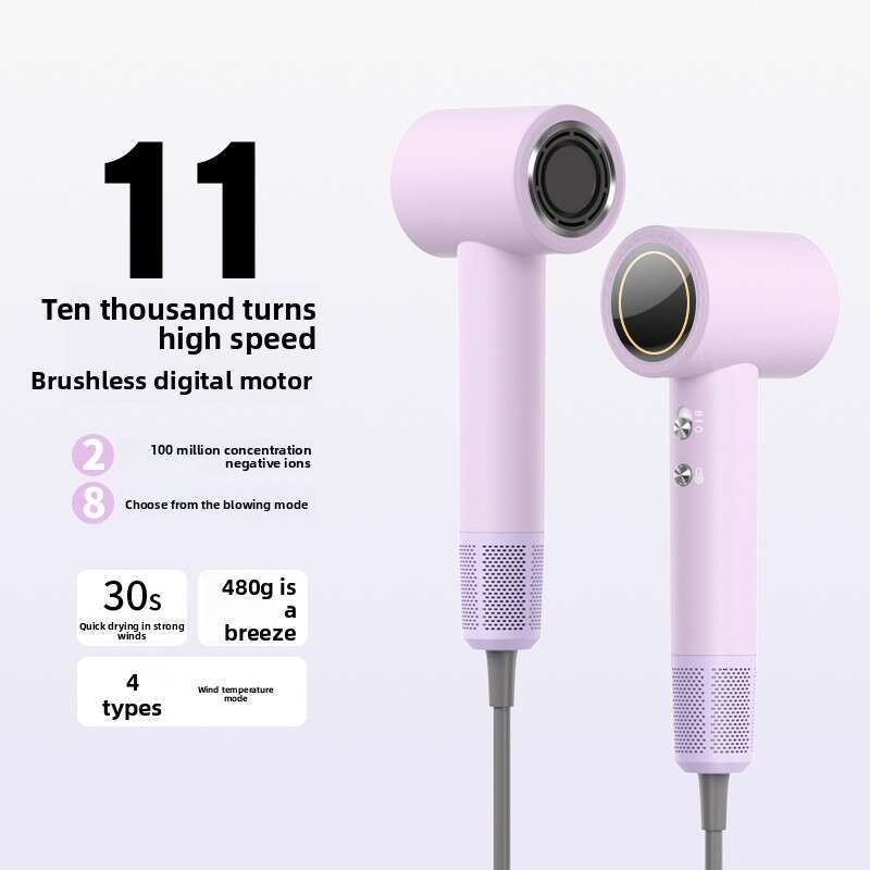 New High-Speed Negative Ion High-Power Essential Oil Protection Hair Dryer